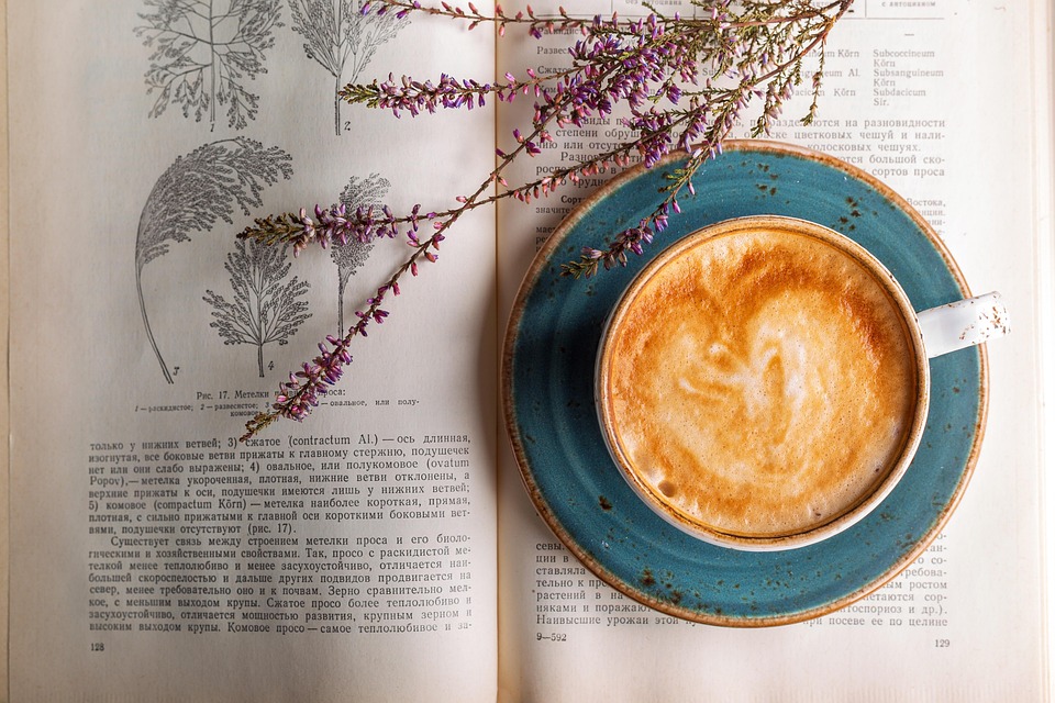 Korean Skin Care Books